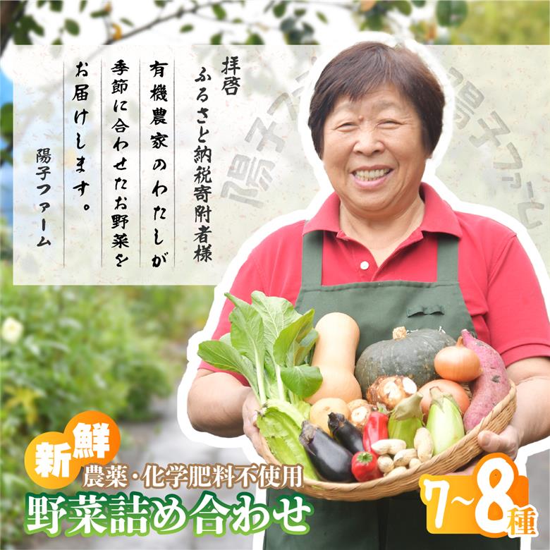 旬の野菜詰め合わせ7種~8種