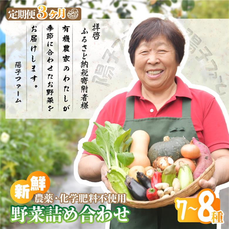 ＜3ヵ月定期便＞旬の野菜詰め合わせ7種~8種