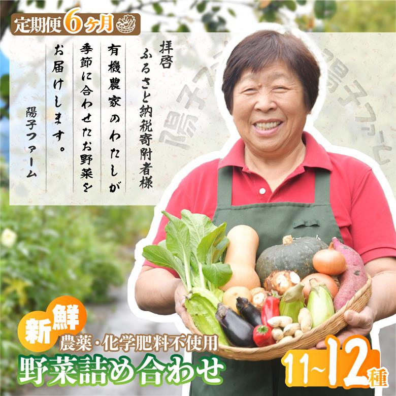 ＜6ヵ月定期便＞旬の野菜詰め合わせ11種~12種