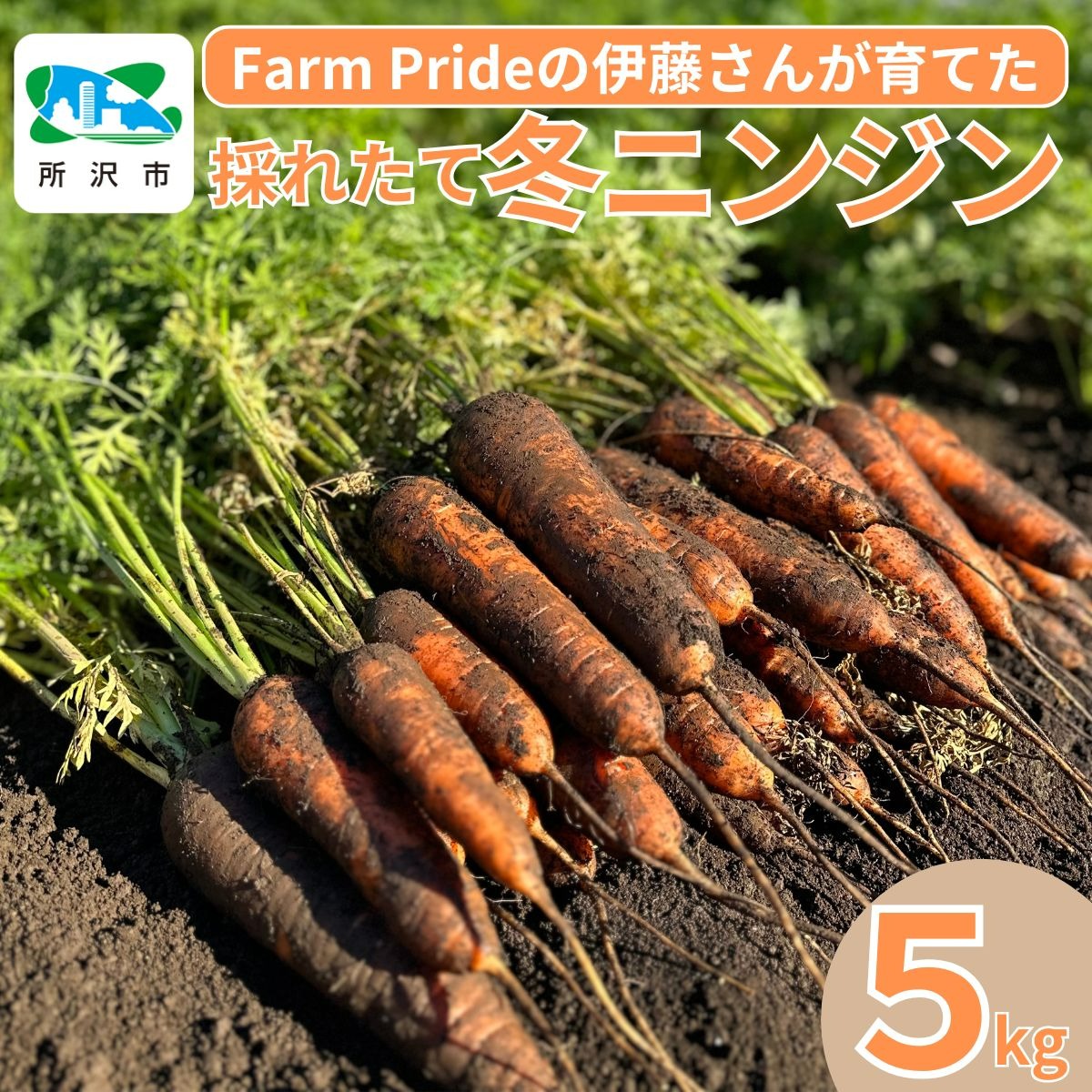 Farm Prideが育てた採れたての絶品！冬ニンジン 彩誉(あやほまれ) 5kg