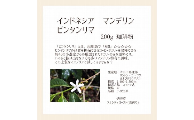 【上田珈琲豆焙煎堂】珈琲豆 深煎り2種×200ｇインドネシアマンデリン・ウガンダAA【粉】[52210722]