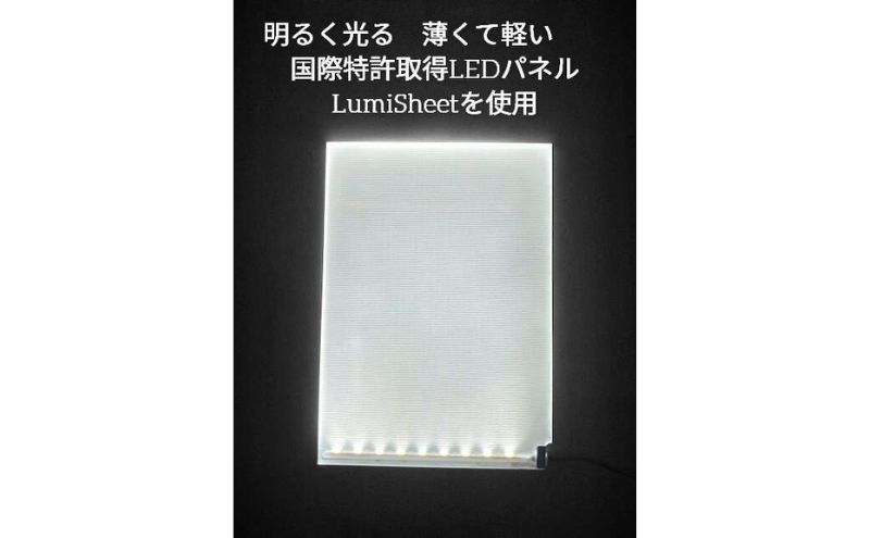 写光Shapica（シャピカ）Lサイズ　西川材フレーム　USB接続 [52210978]