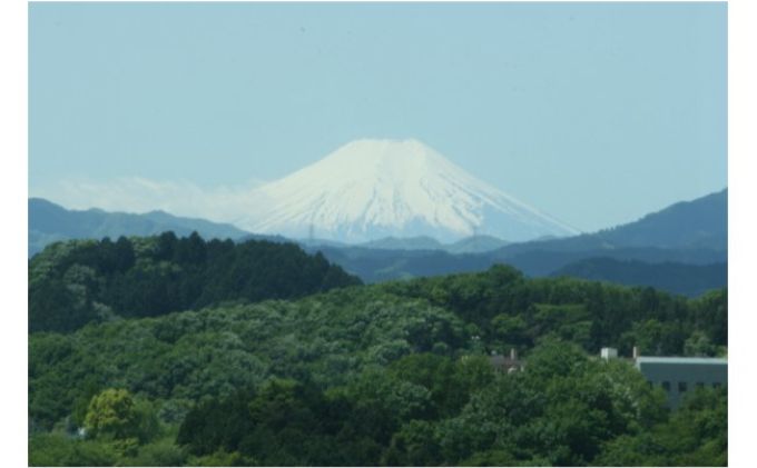 ホテル・ヘリテイジ飯能 デラックスツインルーム(2名)宿泊券[52210083]