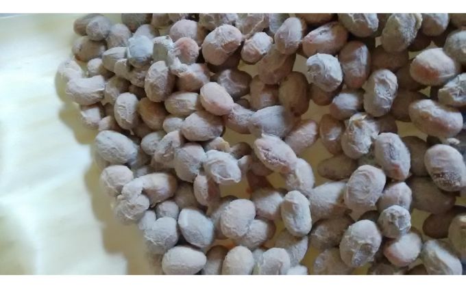 奥むさし納豆(10個入り)[52210376]