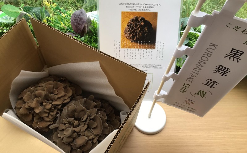 黒舞茸「真」 1kg[52210652]