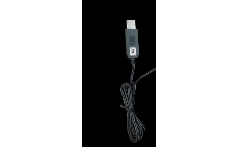 写光Shapica（シャピカ）Lサイズ　西川材フレーム　USB接続 [52210978]