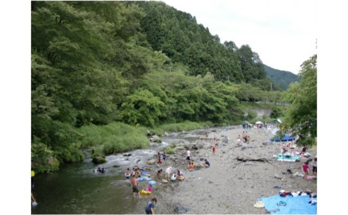 バーベキュースポット 名栗川 さつき 利用サービス券[52210300]