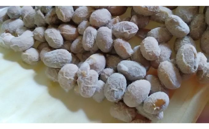 奥むさし納豆(10個入り)[52210376]