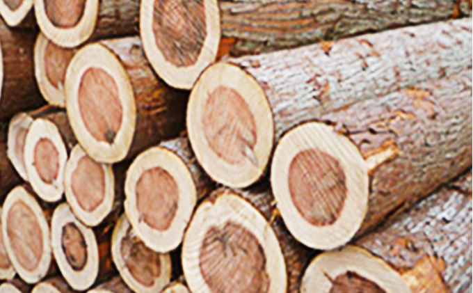 飯能炭じろう[52210574] 雑貨 日用品 消臭剤