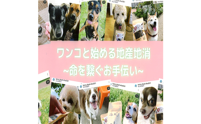 ワンコのおやつジビエ「天然無添加鹿ジャーキー たっぷり4種セット(50g×3種、15g×1種)」[52210646]
