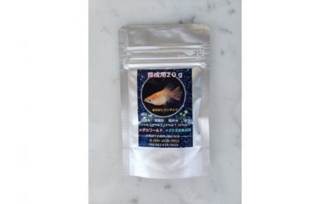 メダカ「紅灯系白虎(べにあかりけいびゃっこ)」5匹セット[52210546]