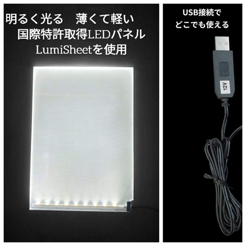 写光Shapica（シャピカ）Lサイズ　西川材フレーム 　1枚板タイプ　USB接続 [52210979]