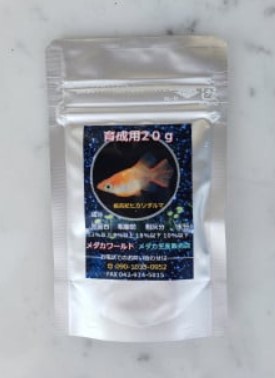 メダカ「エメキン」4匹セット[52210998]