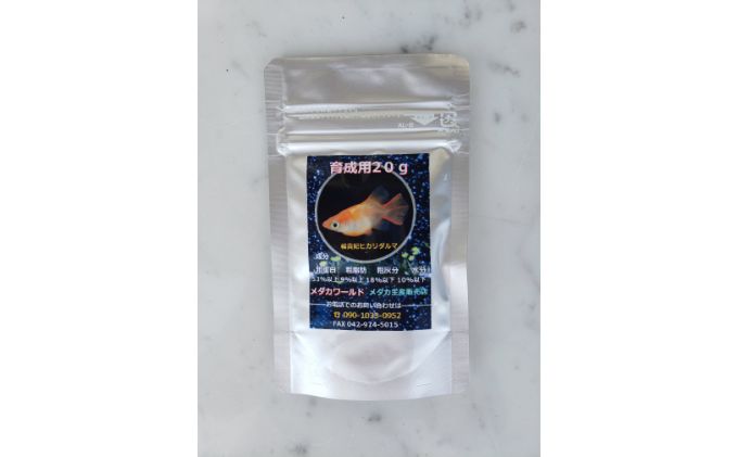 メダカ「松井ヒレ長 緑光」4匹セット[52210547]