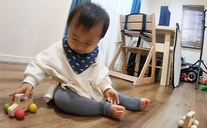 出産祝いや誕生日プレゼントに! 「木のおもちゃロングセラー3点セット」[52210559]