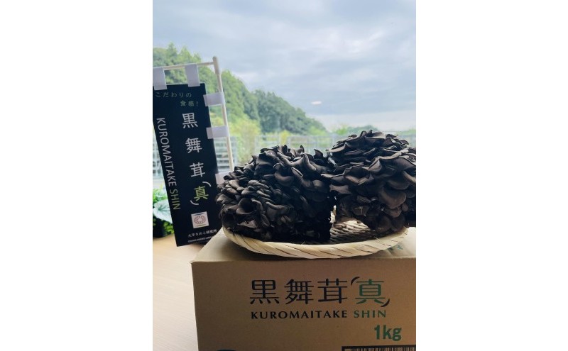 黒舞茸「真」 1kg[52210652]