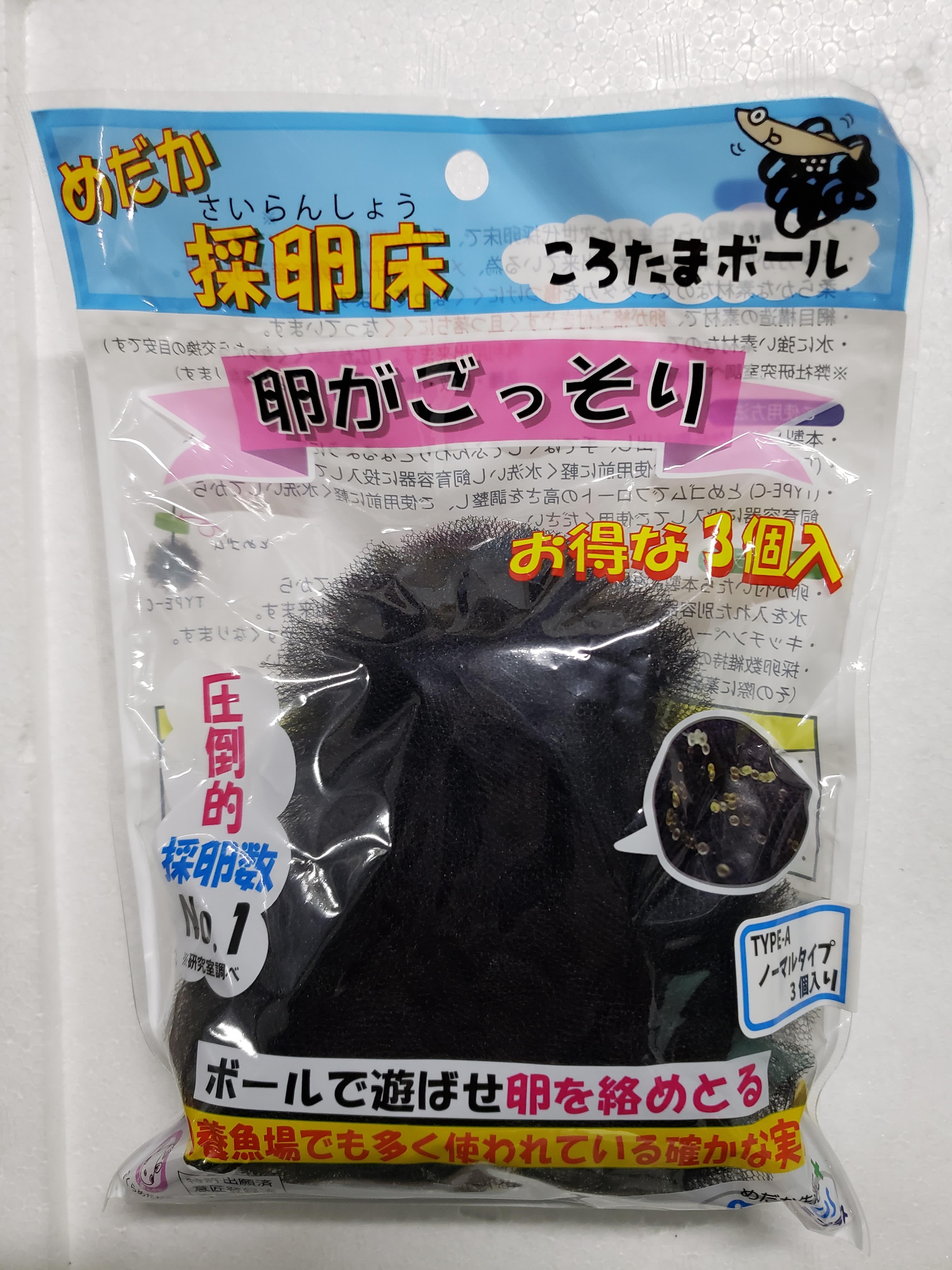 メダカ「エメキン」4匹セット[52210998]