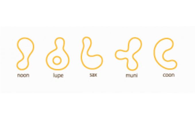 KARAKARA -muni-[52210062]