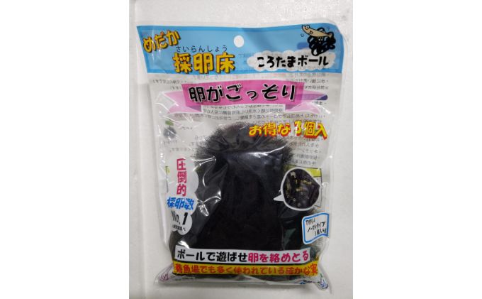 メダカ「松井ヒレ長 煌ラメ」4匹セット[52210548]: 飯能市ANAのふるさと納税