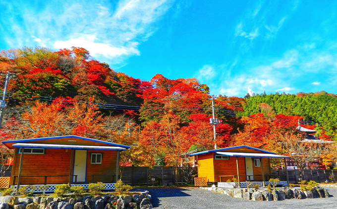 ケニーズ・ファミリー・ビレッジ/オートキャンプ場 基本料金利用券B[52210608]