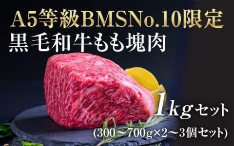 A5等級 BMSNo.10限定 黒毛和牛もも塊肉 ブロック 1kgセット[52210701]