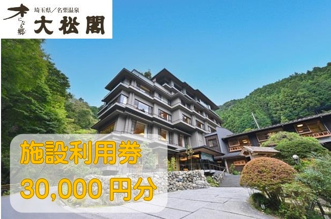 【名栗温泉大松閣】施設利用券30,000円分[52211000]