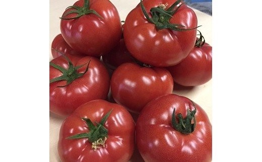 【完熟とまとの新井園】桃太郎トマト 2kg[52210248]