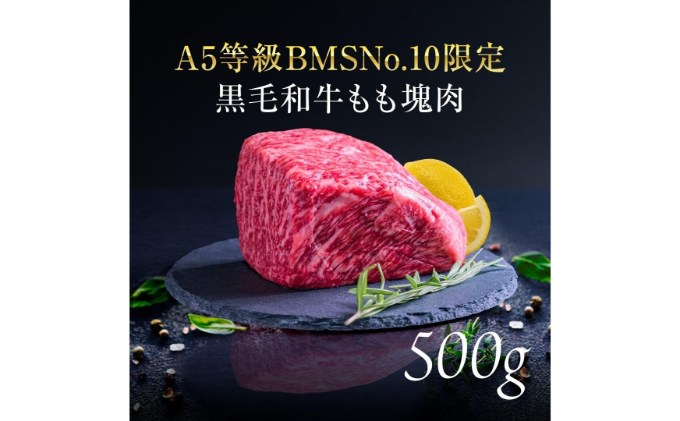 A5等級 BMSNo.10限定 黒毛和牛もも塊肉 ブロック 500g[52210700]