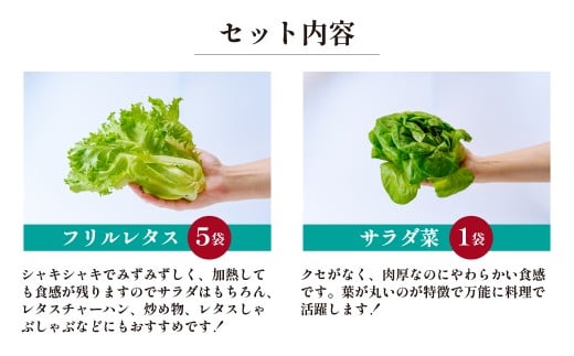 ＜洗わず食べられる・室内水耕栽培＞ レタス4種 合計8袋