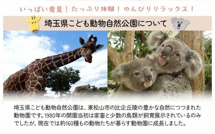 埼玉県こども動物自然公園 年間パスポート 小人1名