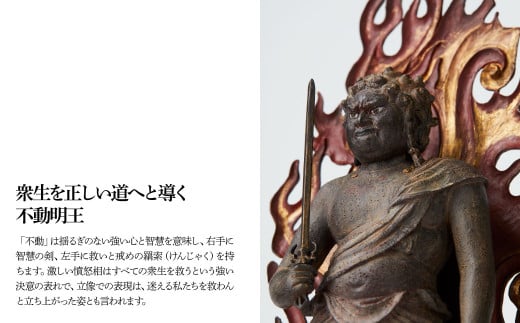 TanaCOCORO[掌] 不動明王立像