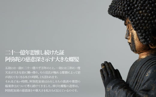 TanaCOCORO[掌] 五劫思惟阿弥陀