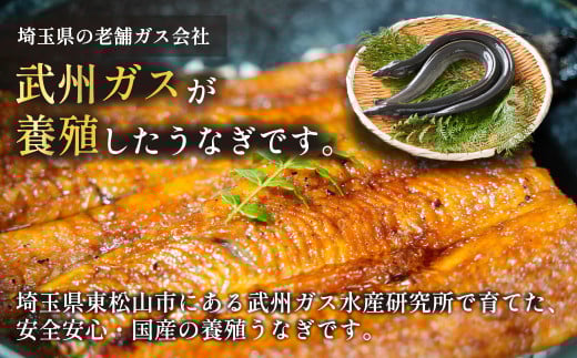 武州うなぎ 国産うなぎ蒲焼 4尾 中サイズ 冷凍真空パック（約480g）【埼玉県 東松山市 母の日 鰻 父の日ウナギ 大容量 誕生日プレゼント 鰻の蒲焼き 特選品 美味しいお取り寄せ 贈り物 グルメ 旬 おすすめ 国産 大きいサイズ 選べる 家庭用 ギフト 冷凍真空パック レンジ 御歳暮 お歳暮 贈り物 土用の丑 お祝い 】