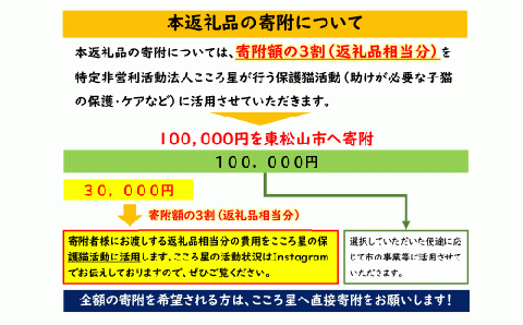 【お礼の品なし】保護猫活動支援～野良猫から地域で見守るさくら猫に～ 寄付額100,000円