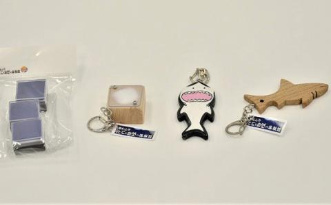 化石と自然の体験館　手ぶらで発掘セット（1名分） 【 化石 化石発掘 チケット 体験 1名分 東松山 】