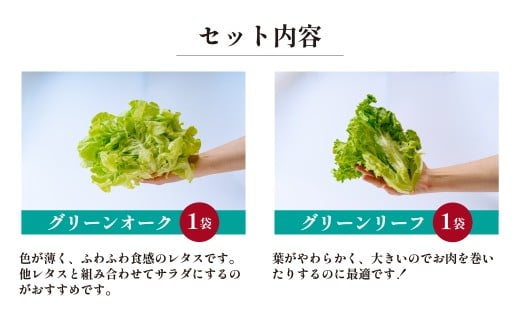 ＜洗わず食べられる・室内水耕栽培＞ レタス4種 合計8袋