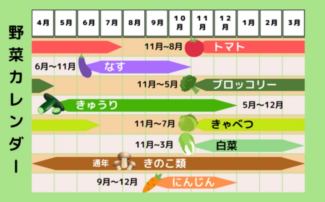 季節の野菜詰合せセット 7~10品