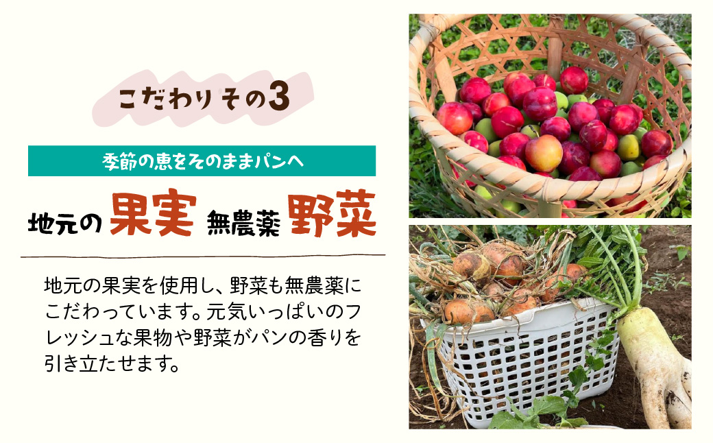 【数量限定】冷凍パン 自然酵母パン おまかせセット 8～10個