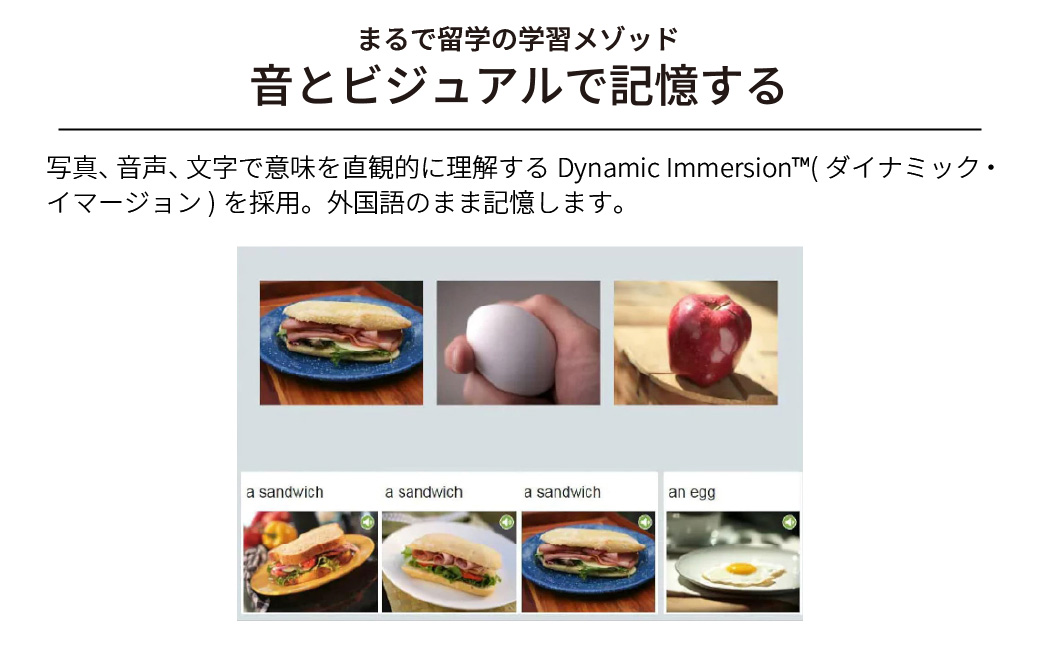 パソコンソフト 語学学習ツール ロゼッタストーン 英語(アメリカ) 6製品セット カード版