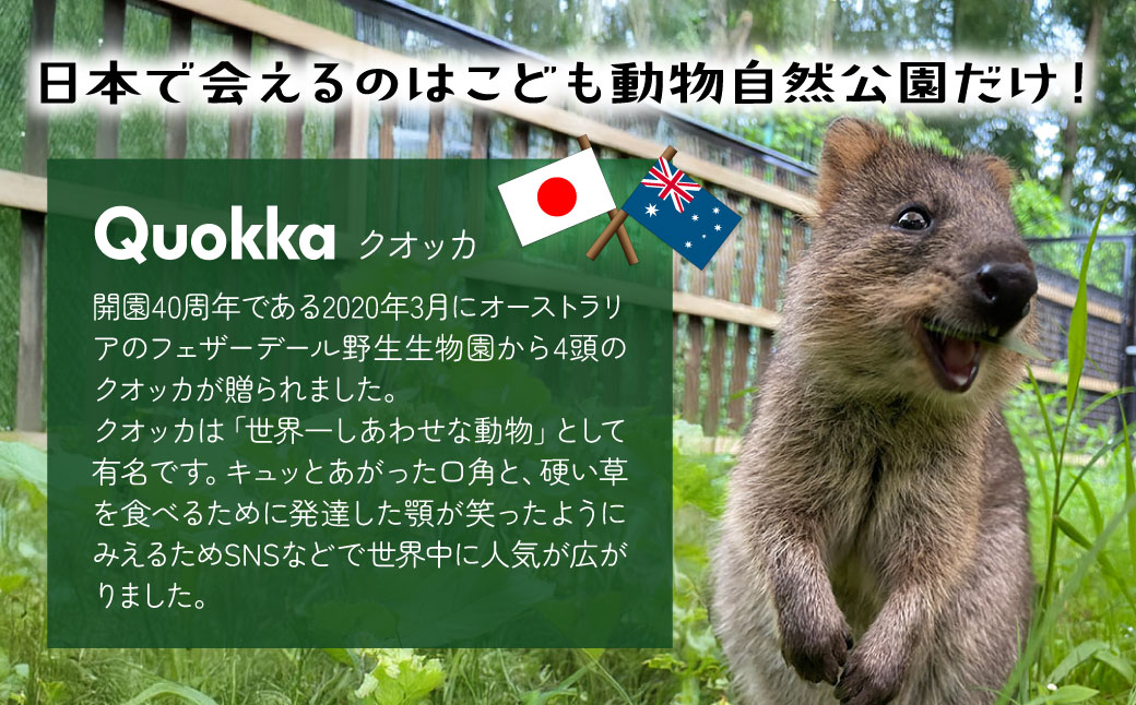 埼玉県こども動物自然公園 年間パスポート引換券 小人2名