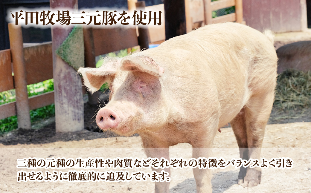 ＜60個＞東松山名物 みそだれ餃子・贅沢餃子セット  60個【 餃子 ギョウザ 3種 詰め合わせ 惣菜 東松山 】