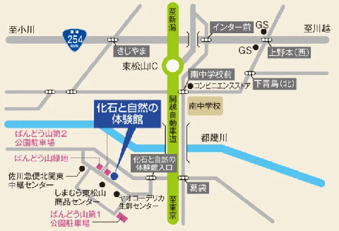 化石と自然の体験館　手ぶらで発掘セット（1名分） 【 化石 化石発掘 チケット 体験 1名分 東松山 】