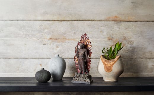 TanaCOCORO[掌] 不動明王立像