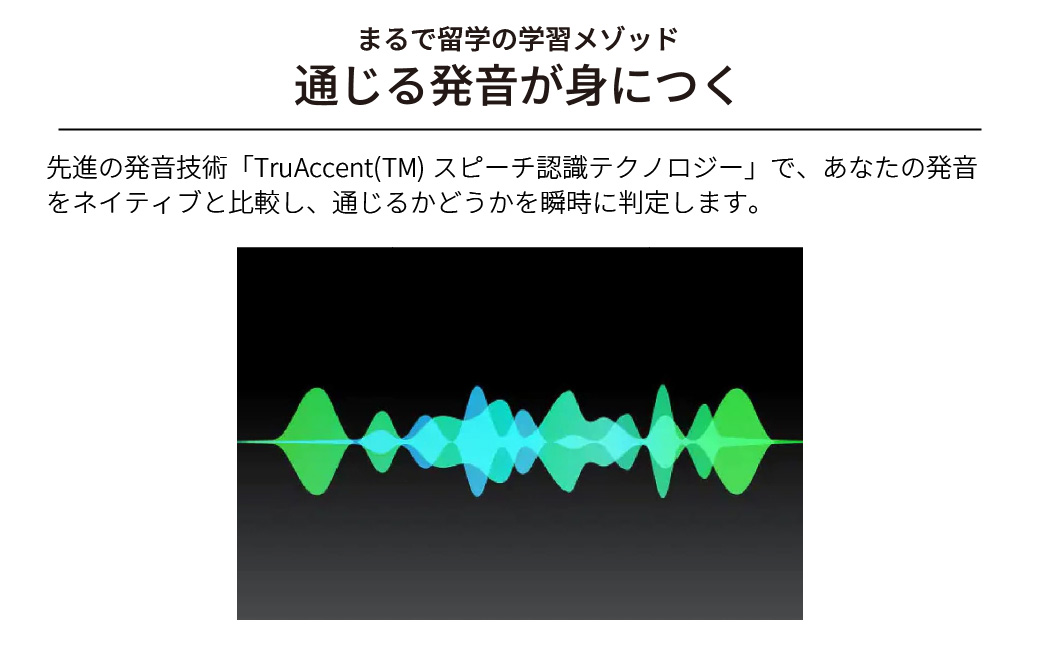 パソコンソフト 語学学習ツール ロゼッタストーン 英語(アメリカ) 6製品セット カード版
