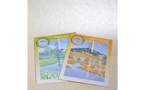 版画家 小暮真望 レターセット2種類（秋・春）【 版画 額付 小川手漉和紙 小暮真望 東松山 埼玉県 】