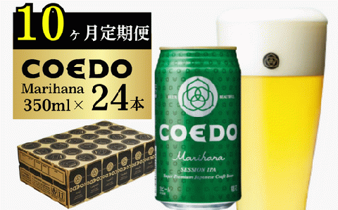 ＜10ヶ月定期便＞コエドビール 缶24本【 毬花 】(350ml×24本)計8400ml