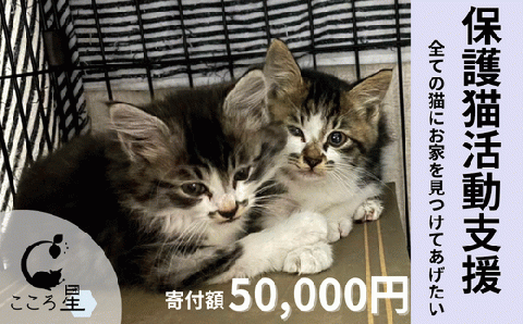 【お礼の品なし】保護猫活動支援～野良猫から地域で見守るさくら猫に～ 寄付額50,000円