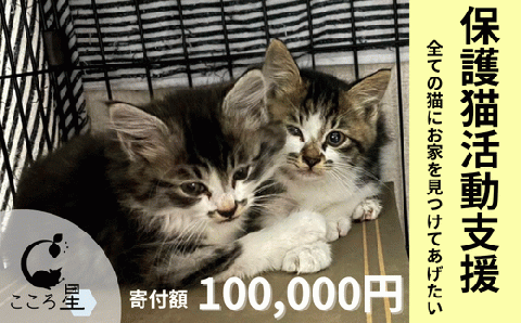 【お礼の品なし】保護猫活動支援～野良猫から地域で見守るさくら猫に～ 寄付額100,000円