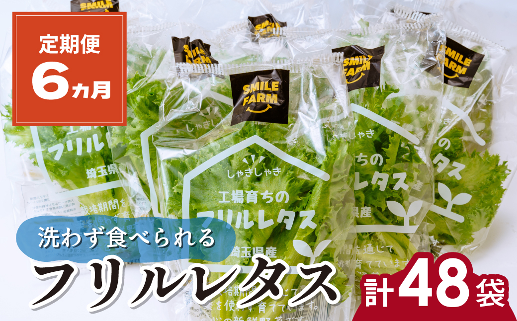 【定期便6ヶ月】 ＜洗わず食べられる・室内水耕栽培＞ フリルレタス 8袋(80～110g/袋)×6ヶ月 計48袋