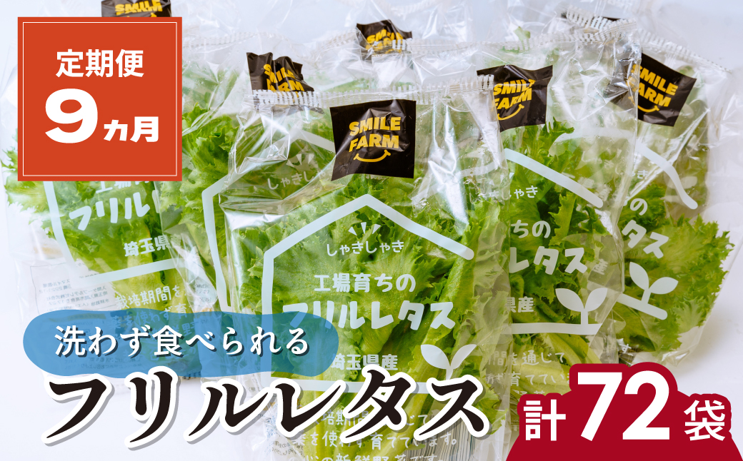 【定期便9ヶ月】 ＜洗わず食べられる・室内水耕栽培＞ フリルレタス 8袋(80～110g/袋)×9ヶ月 計72袋